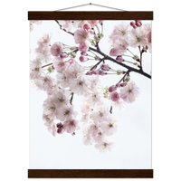 a431d895-d4b3-4ff7-8121-bc861db8aa79