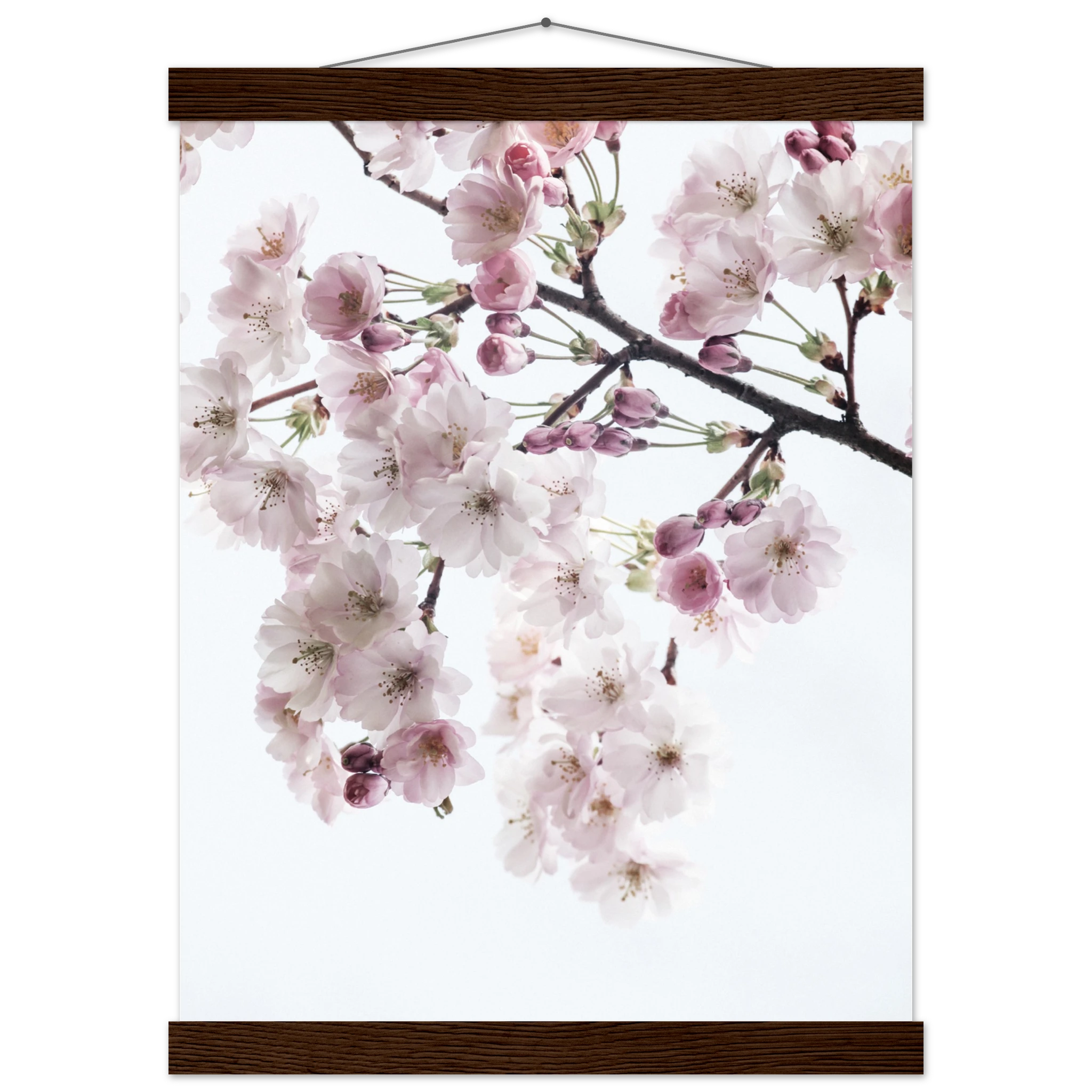 a431d895-d4b3-4ff7-8121-bc861db8aa79