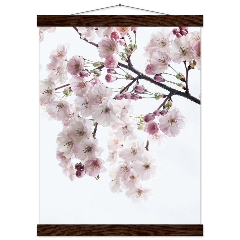 a431d895-d4b3-4ff7-8121-bc861db8aa79