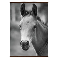 a47fb773-07a5-401b-b01a-bed9b0fde99d