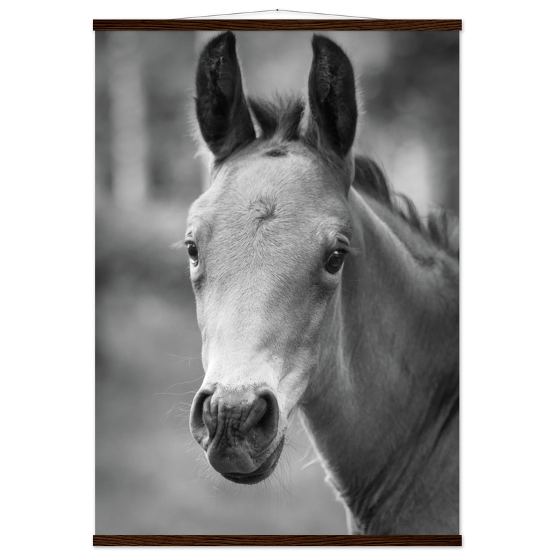 a47fb773-07a5-401b-b01a-bed9b0fde99d