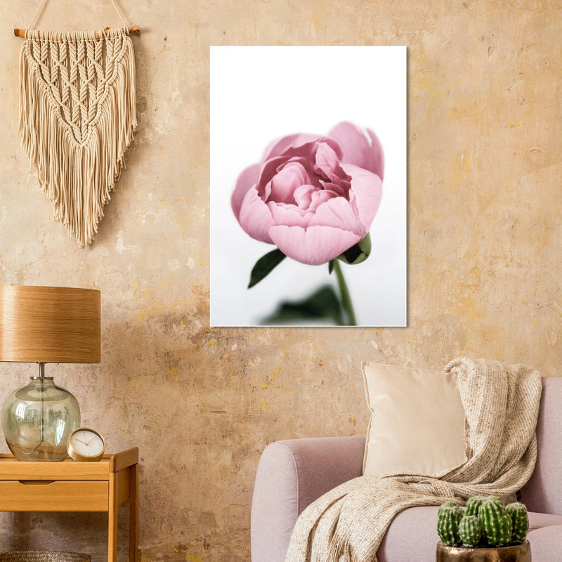 a5230209-2d89-43f9-9efb-4feb30e47ac7