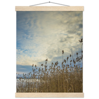 a592837a-4b61-4cfd-8e4e-339035c78b0e