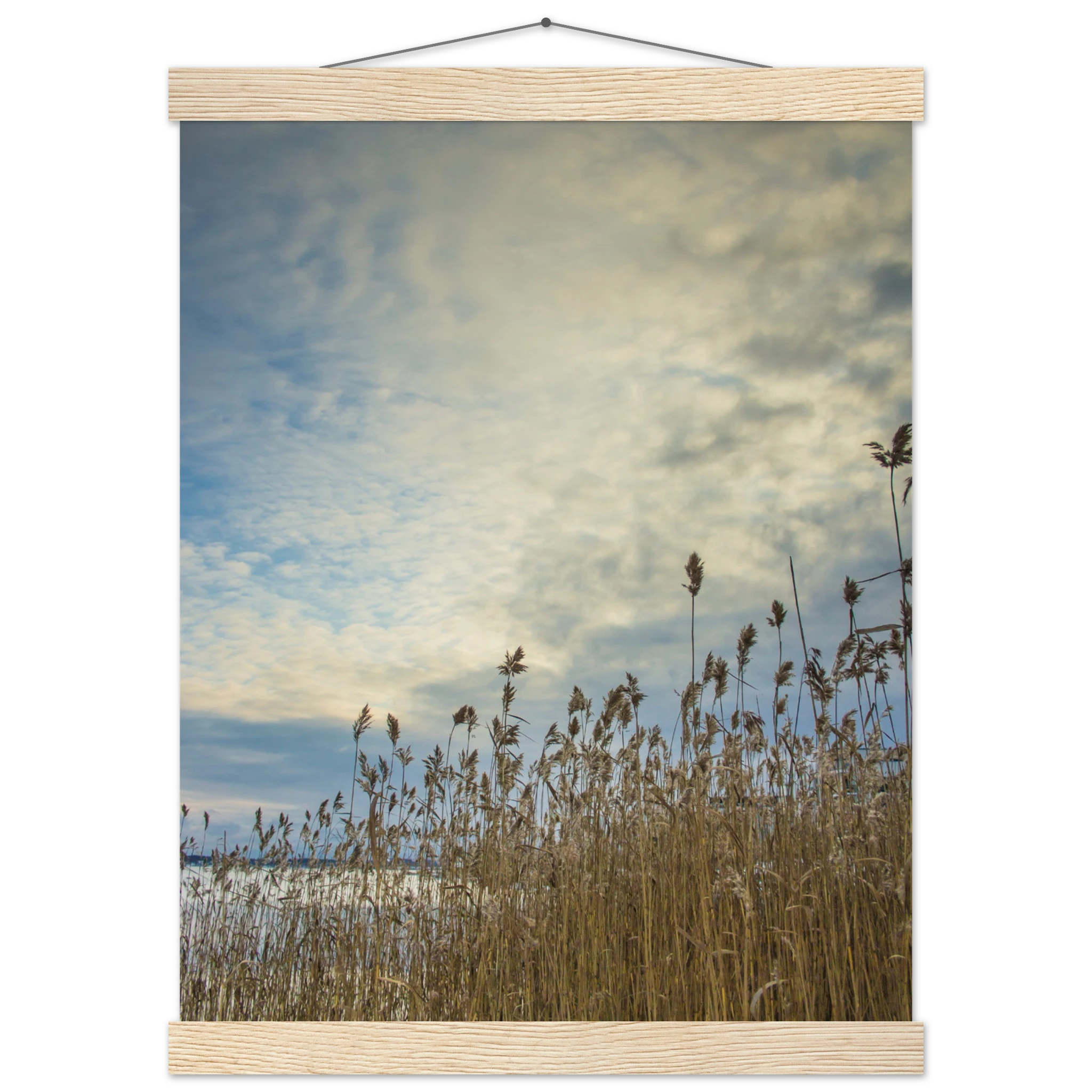 a592837a-4b61-4cfd-8e4e-339035c78b0e