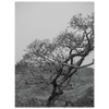 a5df83ce-0052-4e81-8bc4-ce086553c410