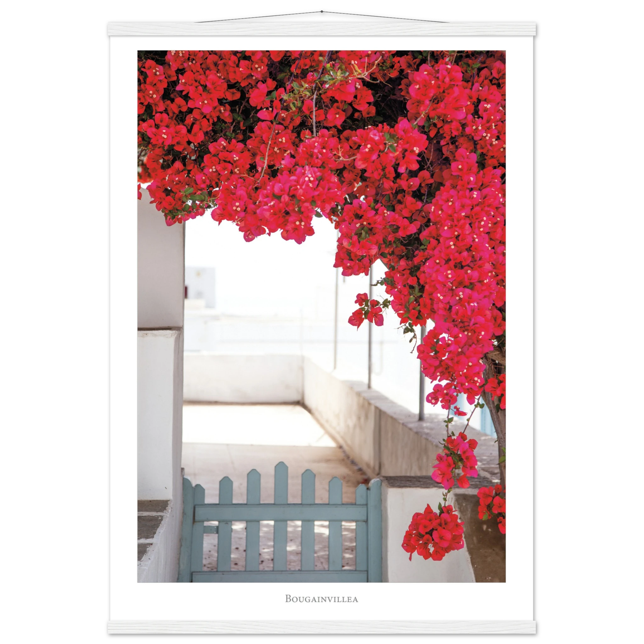 a75fb496-a9ba-4a53-b482-5ef703f9b79b