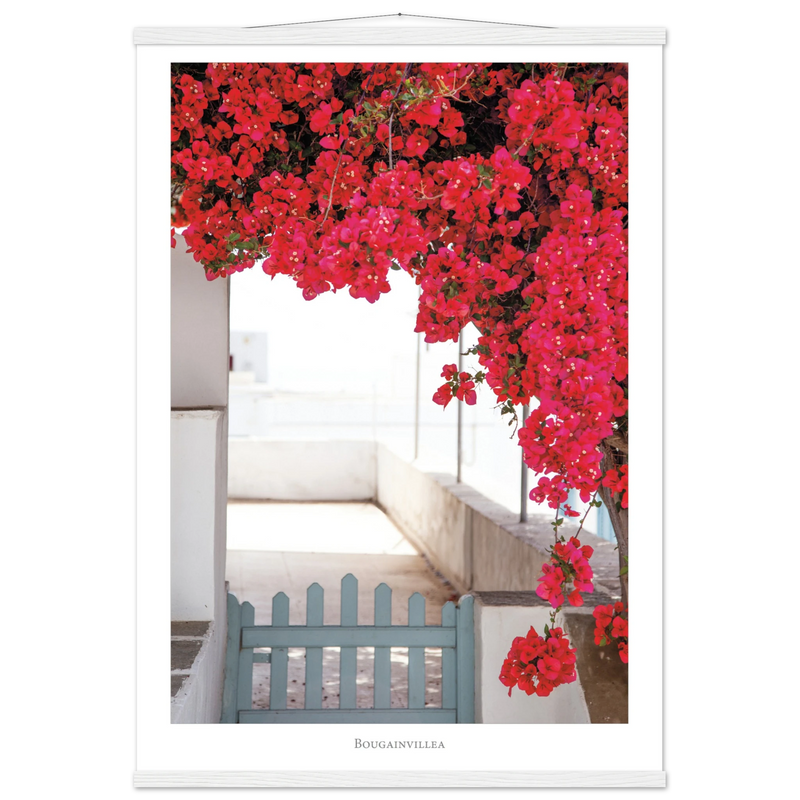 a75fb496-a9ba-4a53-b482-5ef703f9b79b