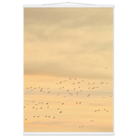 a76f323d-e412-46fb-9daa-d8f911ecc68c