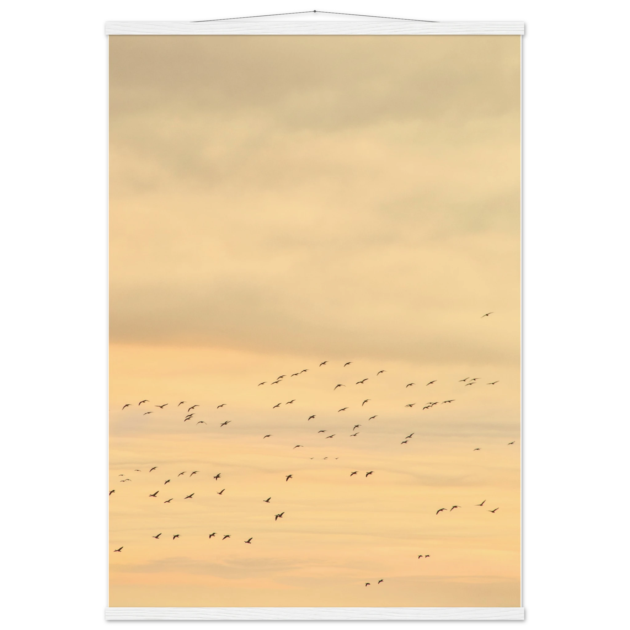 a76f323d-e412-46fb-9daa-d8f911ecc68c