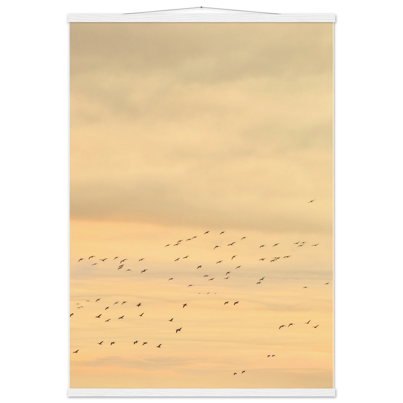 a76f323d-e412-46fb-9daa-d8f911ecc68c