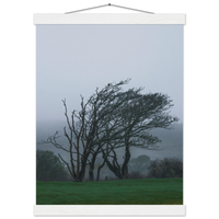 a8376eaf-82cd-44fe-87f5-b6c1ea5c7c54