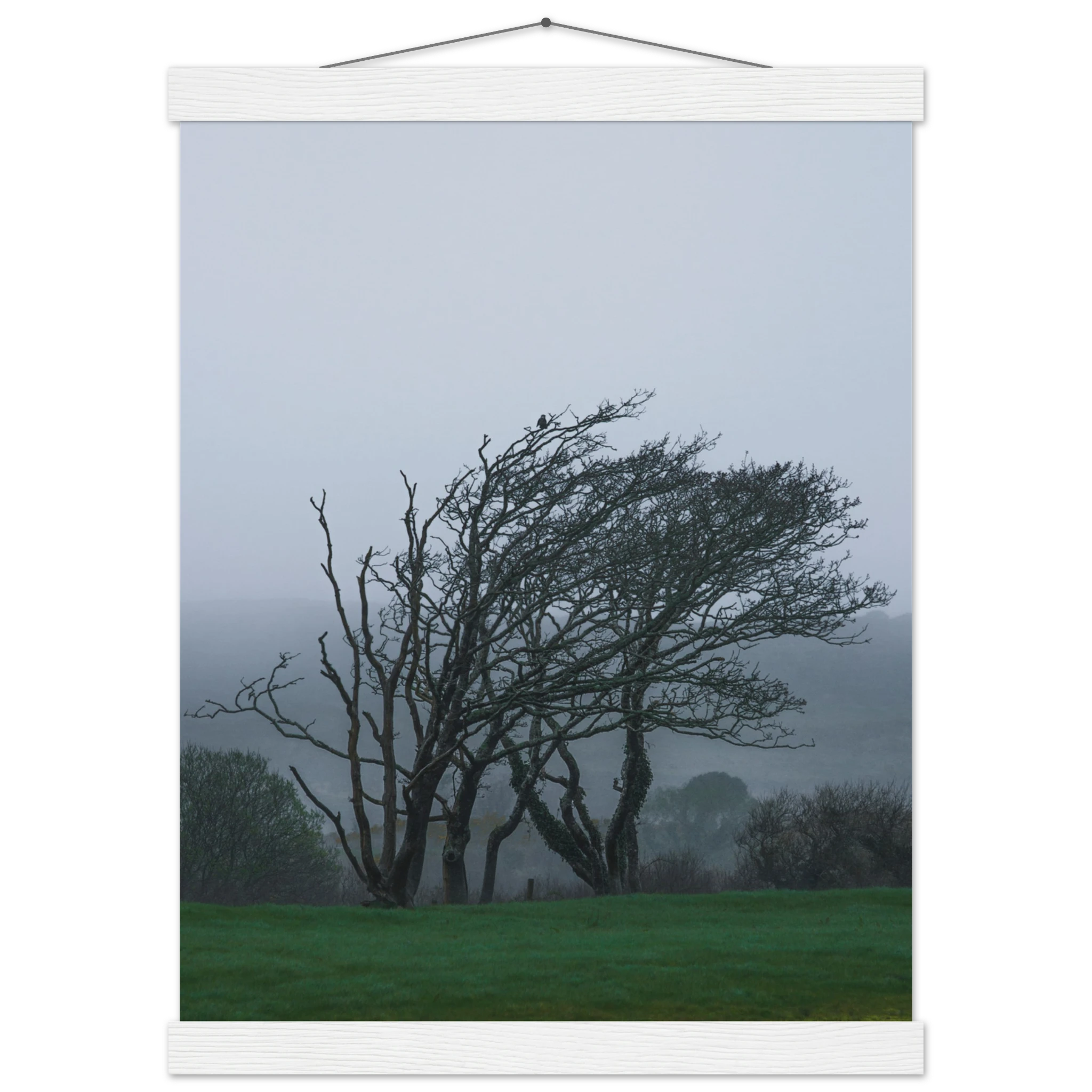 a8376eaf-82cd-44fe-87f5-b6c1ea5c7c54