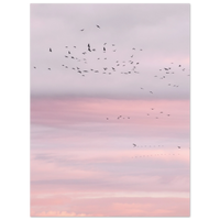 a8934175-2d22-41ed-9c84-554624f2e281