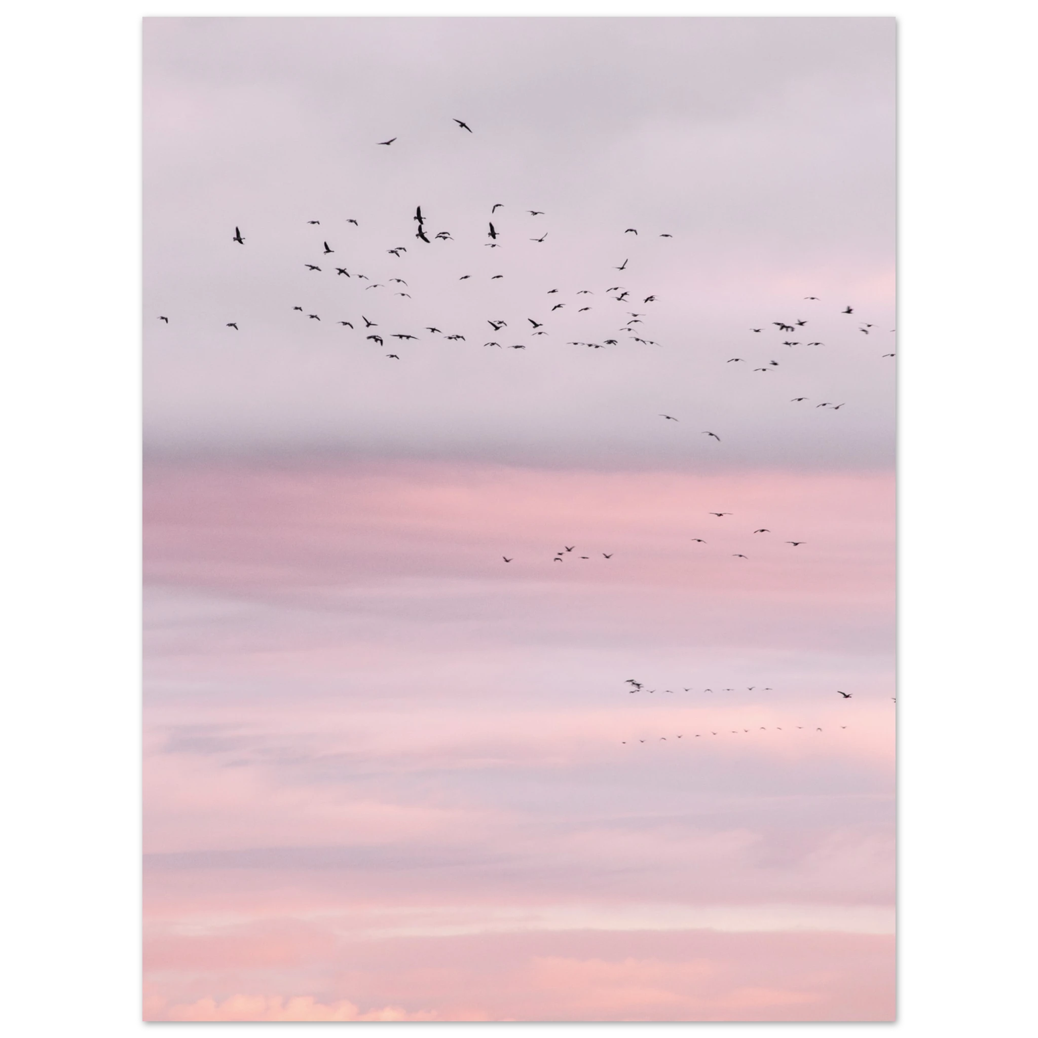 a8934175-2d22-41ed-9c84-554624f2e281