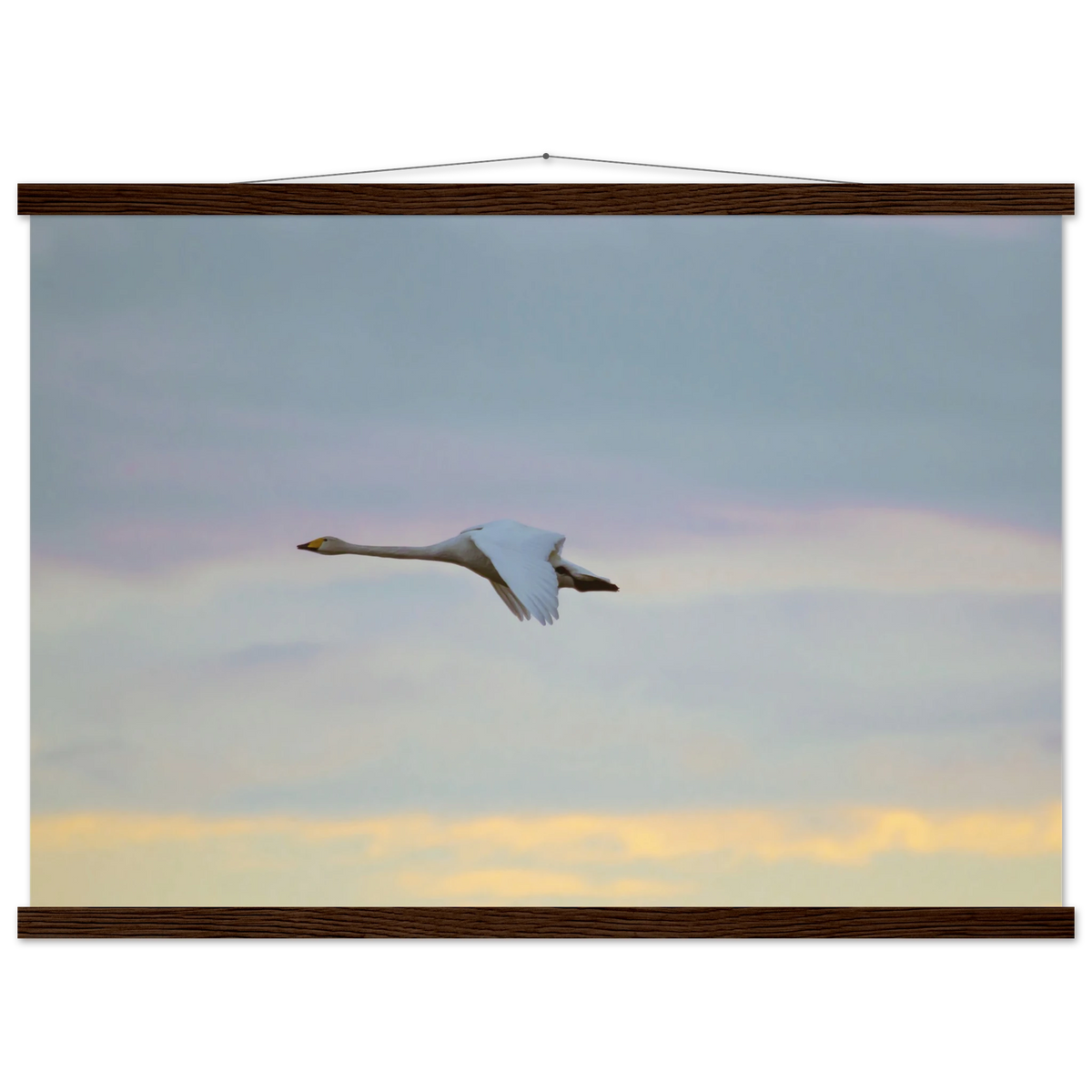 a98db44d-ed80-4f58-bb0d-da81c9701c60