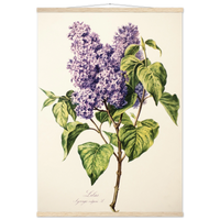 a9e40b3a-f5a7-44e1-9d4a-c9ca91101f6b