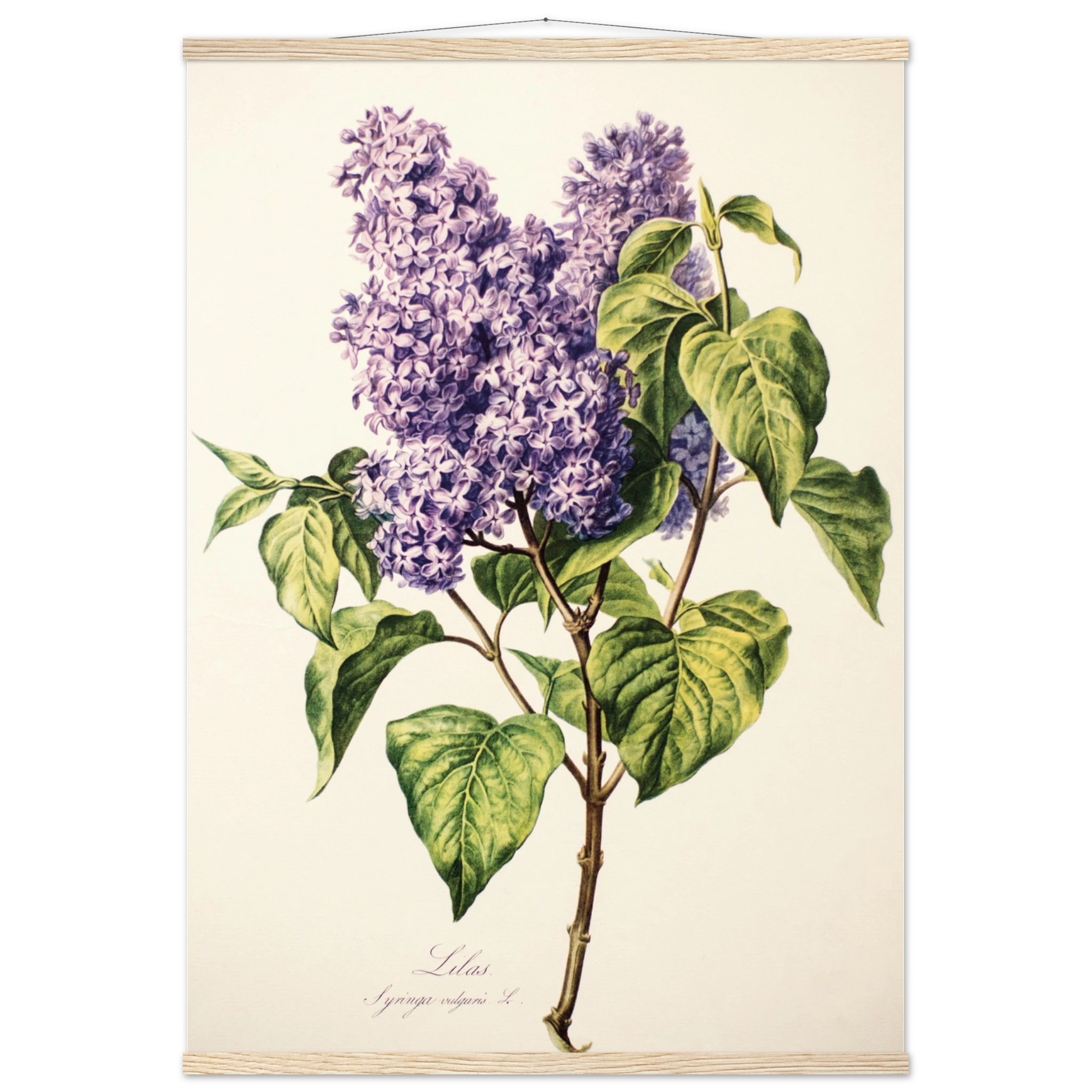 a9e40b3a-f5a7-44e1-9d4a-c9ca91101f6b