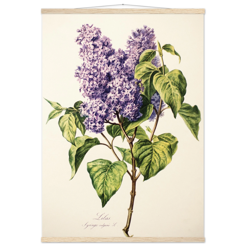 a9e40b3a-f5a7-44e1-9d4a-c9ca91101f6b