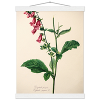 aa5ca715-0a10-4fbe-a879-e1ea56bfa9c2