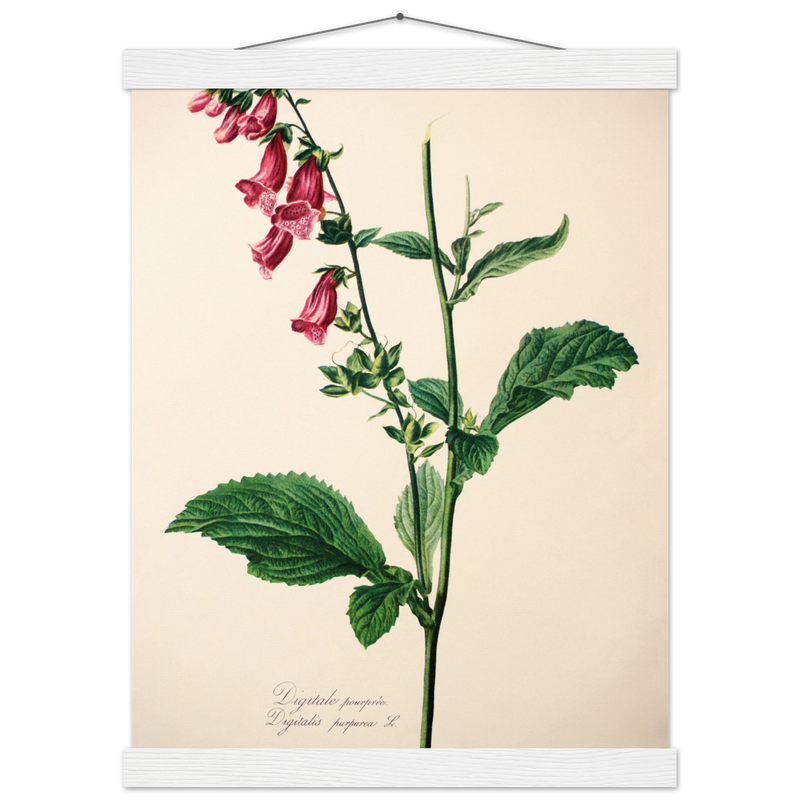 aa5ca715-0a10-4fbe-a879-e1ea56bfa9c2