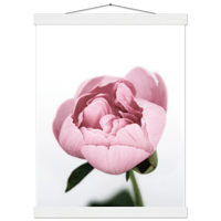 ab1a5333-b70a-41fa-badc-3f576df90a68