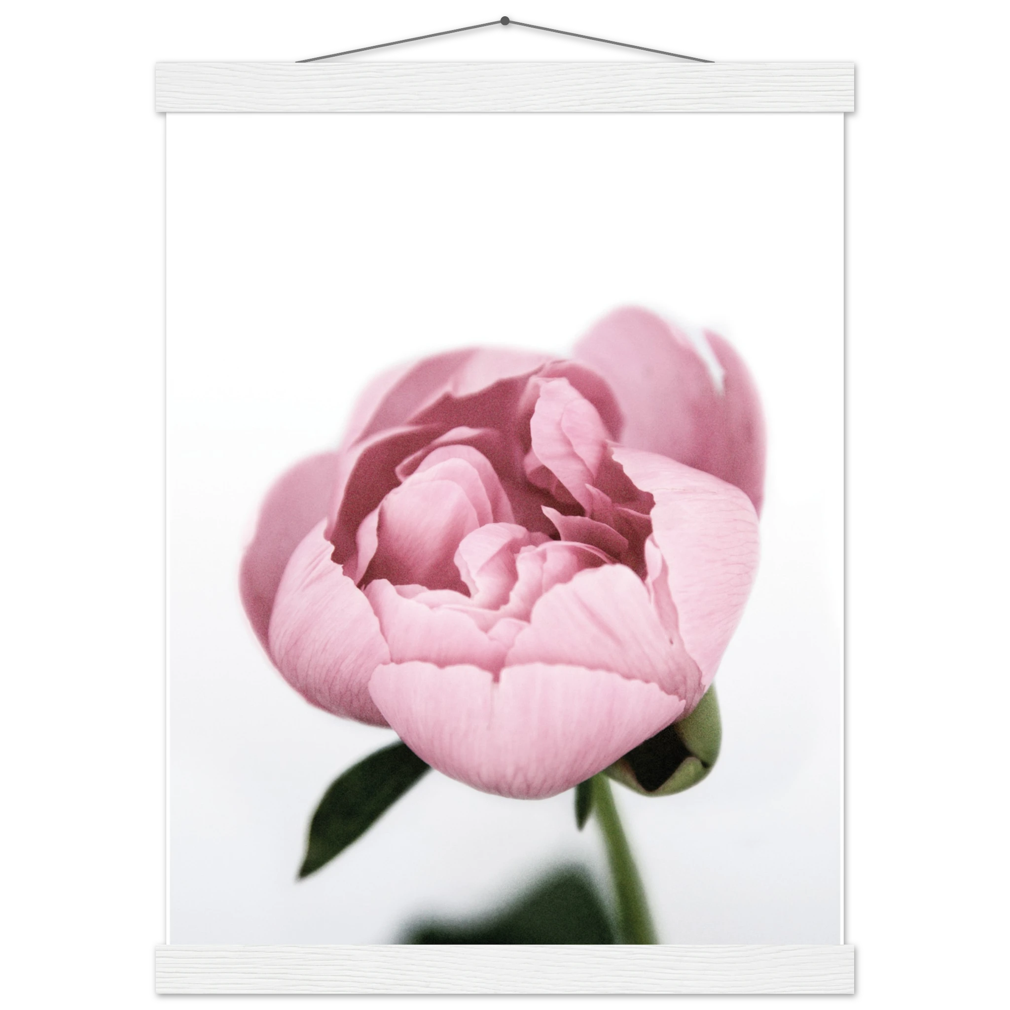 ab1a5333-b70a-41fa-badc-3f576df90a68