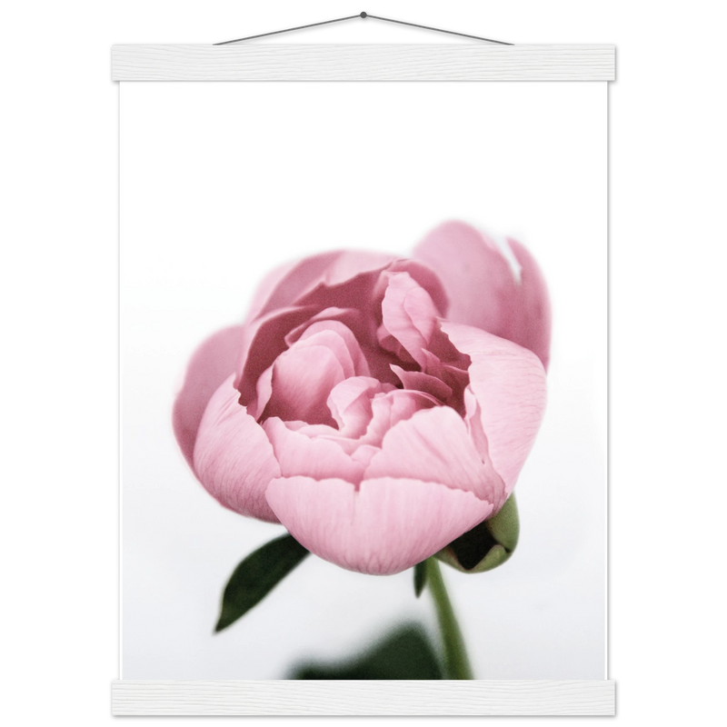 ab1a5333-b70a-41fa-badc-3f576df90a68