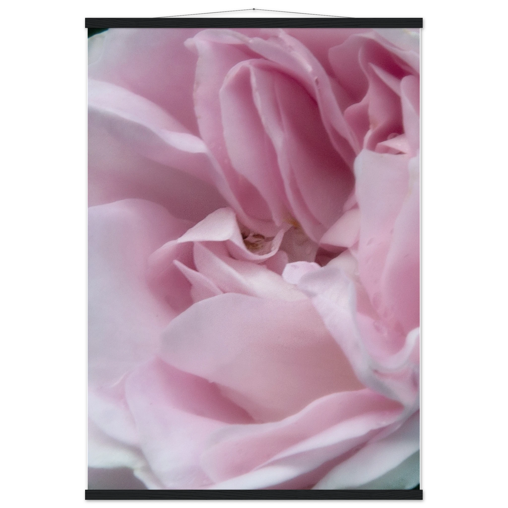 ab1d5135-4970-4647-aa2b-8b1ef01d32f3