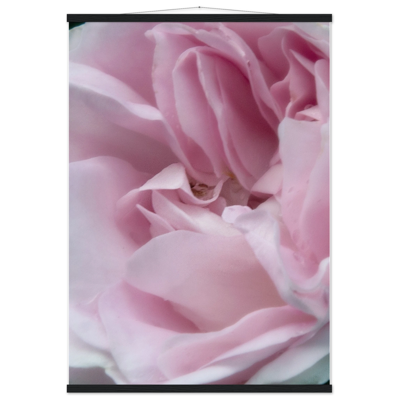 ab1d5135-4970-4647-aa2b-8b1ef01d32f3