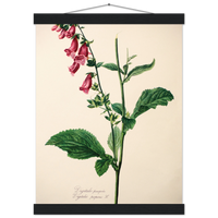 ac98677d-1238-4424-8499-28b3fc146cf4