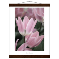 af591164-d994-4333-8232-a172ebdad056