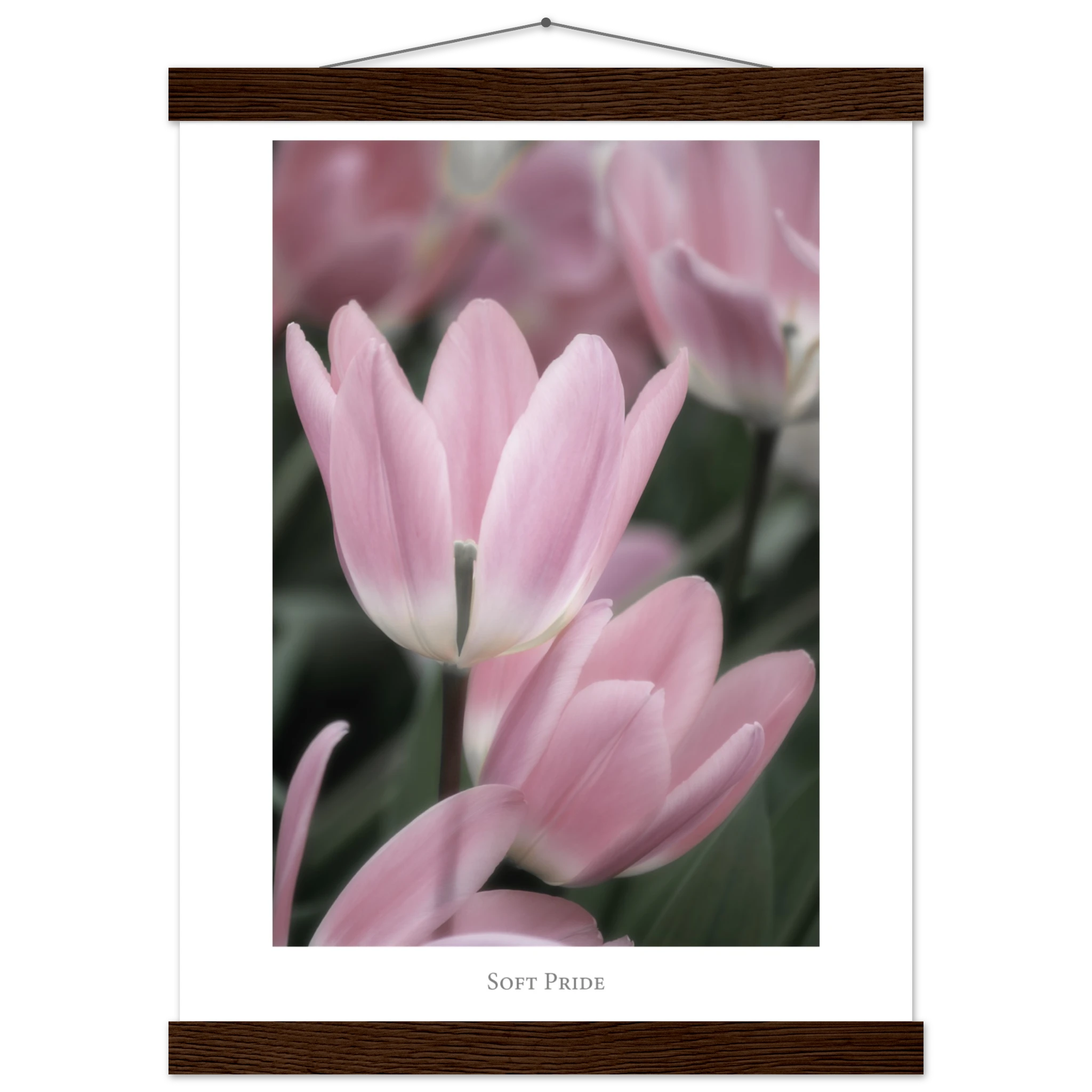 af591164-d994-4333-8232-a172ebdad056