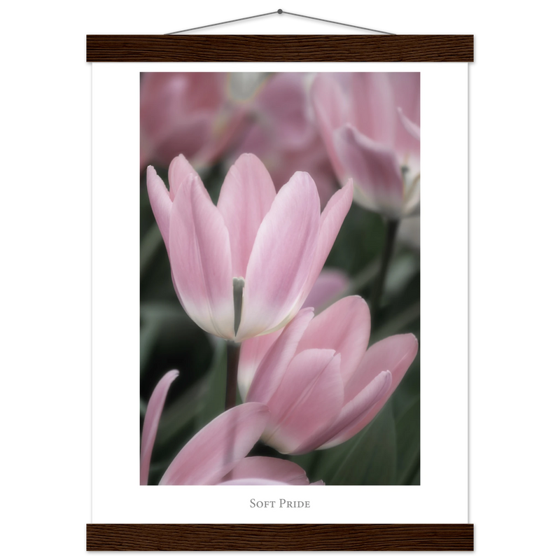 af591164-d994-4333-8232-a172ebdad056