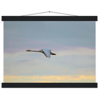 af5e8dc1-c984-4d9b-9110-d943163e8b67