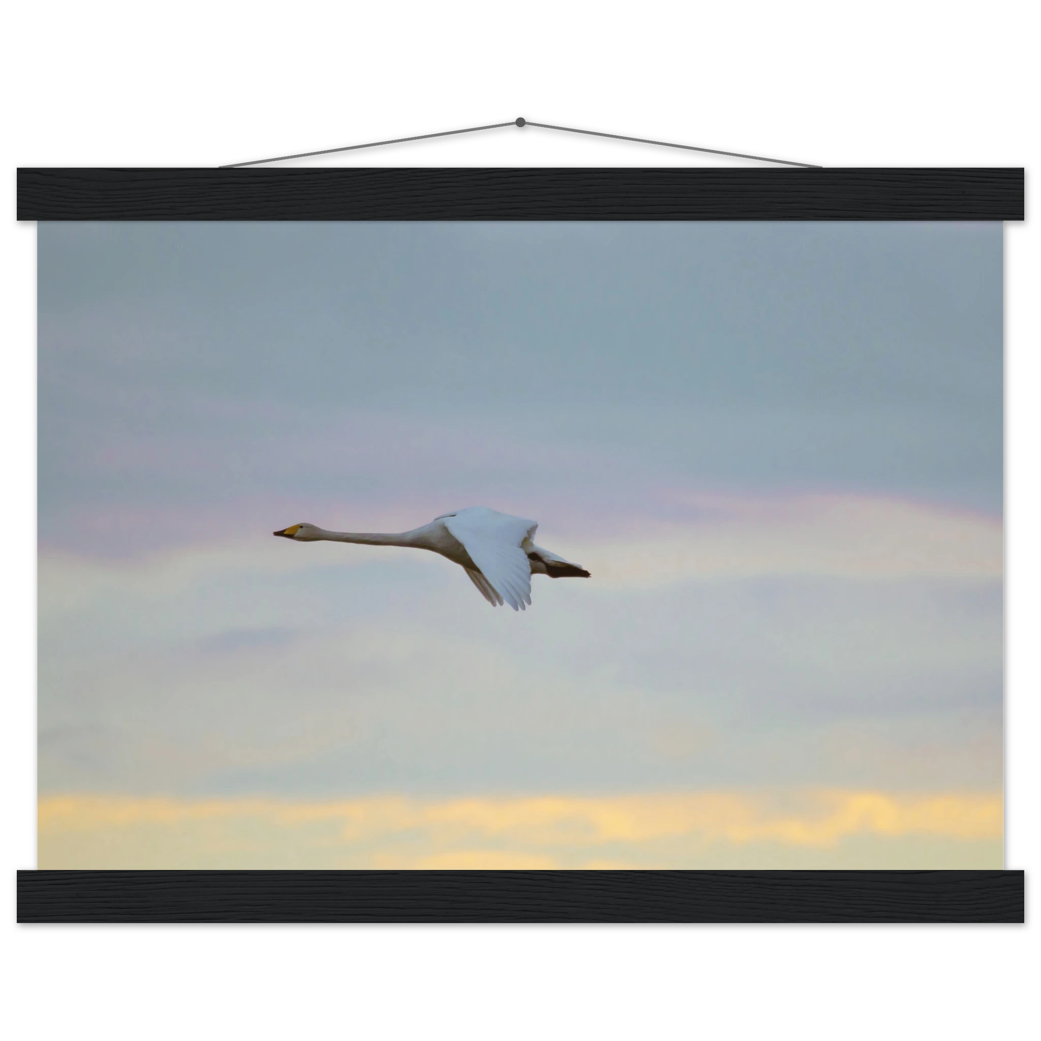 af5e8dc1-c984-4d9b-9110-d943163e8b67