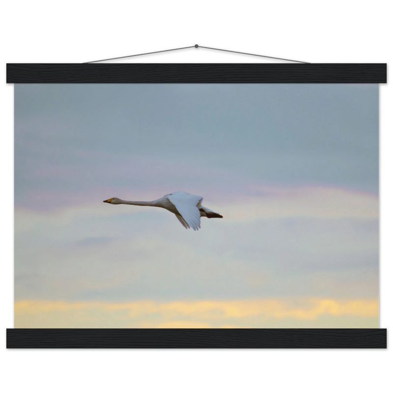 af5e8dc1-c984-4d9b-9110-d943163e8b67