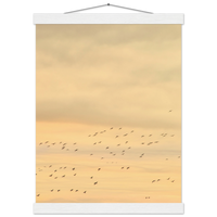 b061e797-a86e-4dd7-a8fc-e7288f052a15