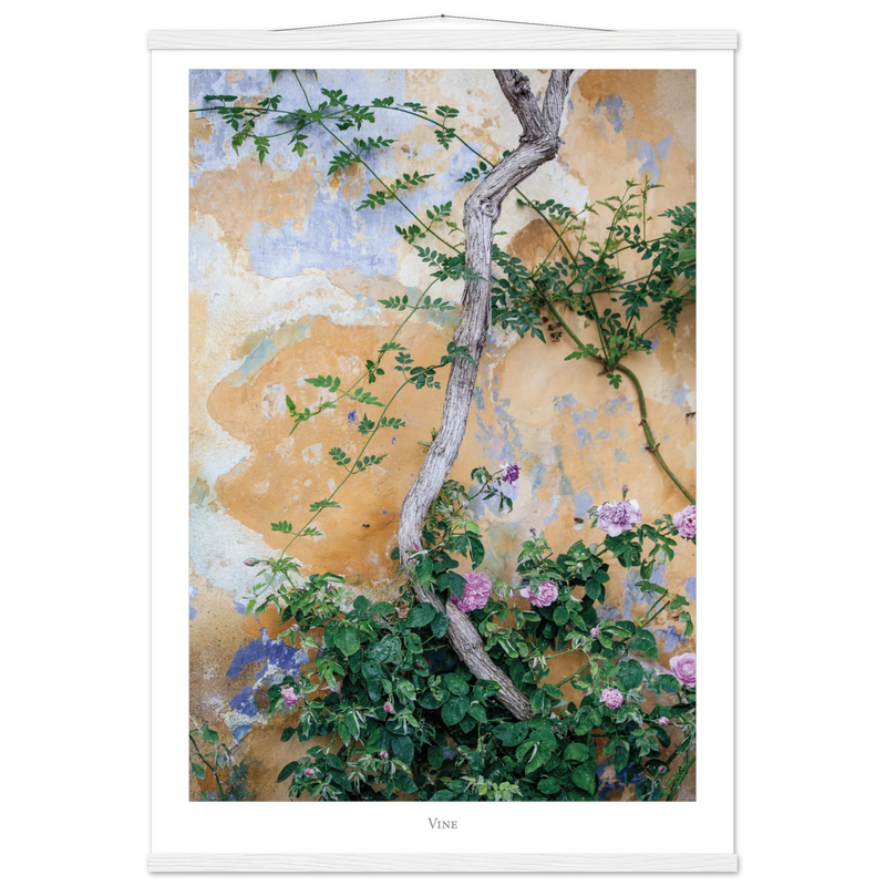 b173ac1e-cf9b-4f39-87f3-9854083cb2d2