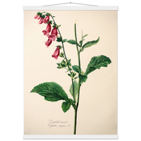 b1eda14d-f73c-4ef6-9f9a-192d290f8324