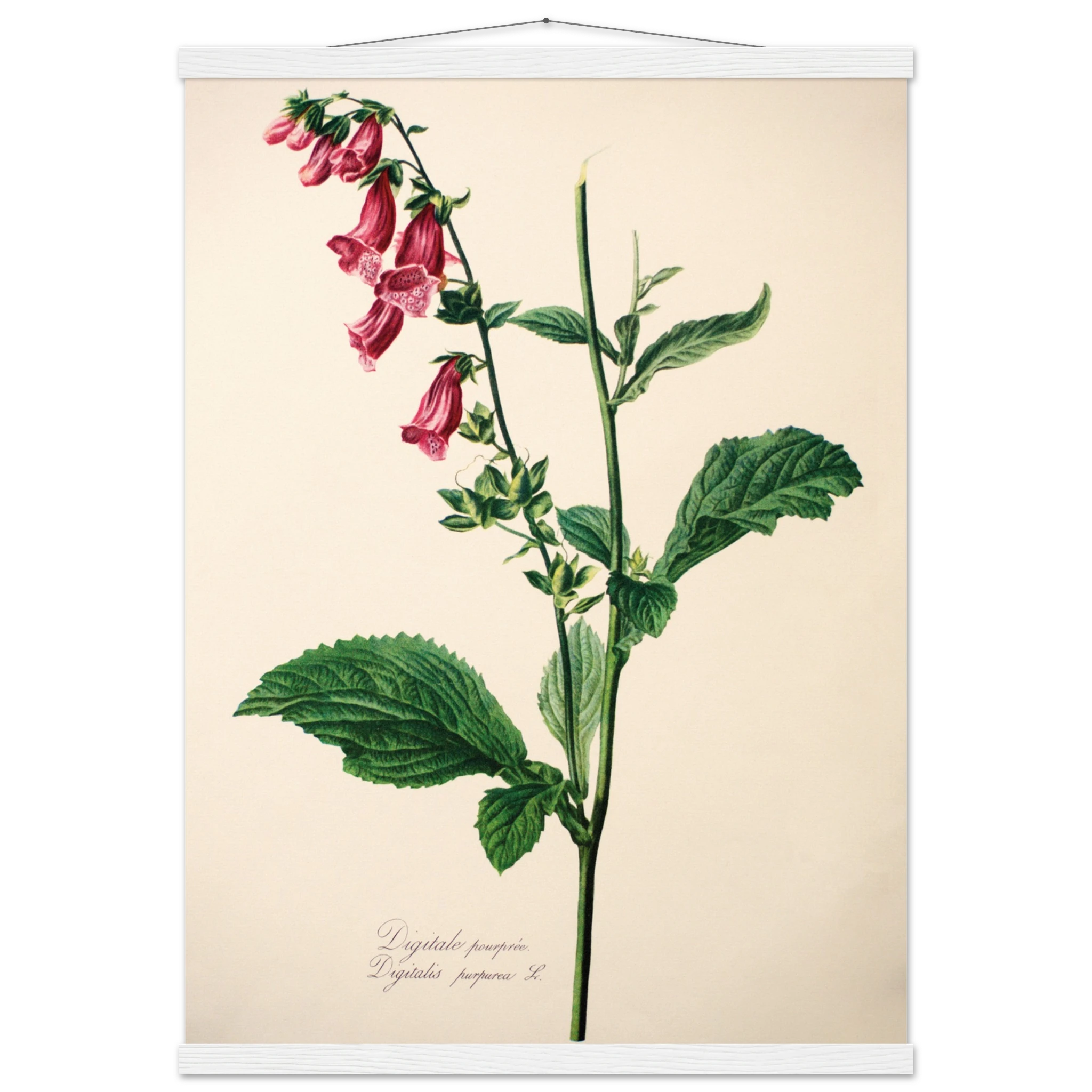 b1eda14d-f73c-4ef6-9f9a-192d290f8324