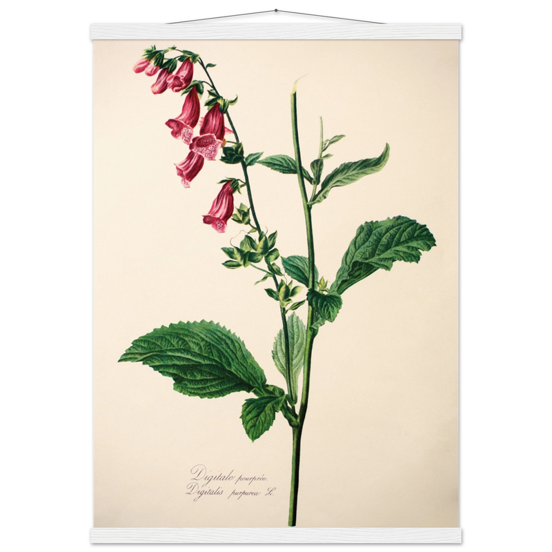 b1eda14d-f73c-4ef6-9f9a-192d290f8324