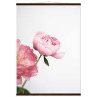 b2306f70-fcb4-46a5-8160-deaf0347e9dd