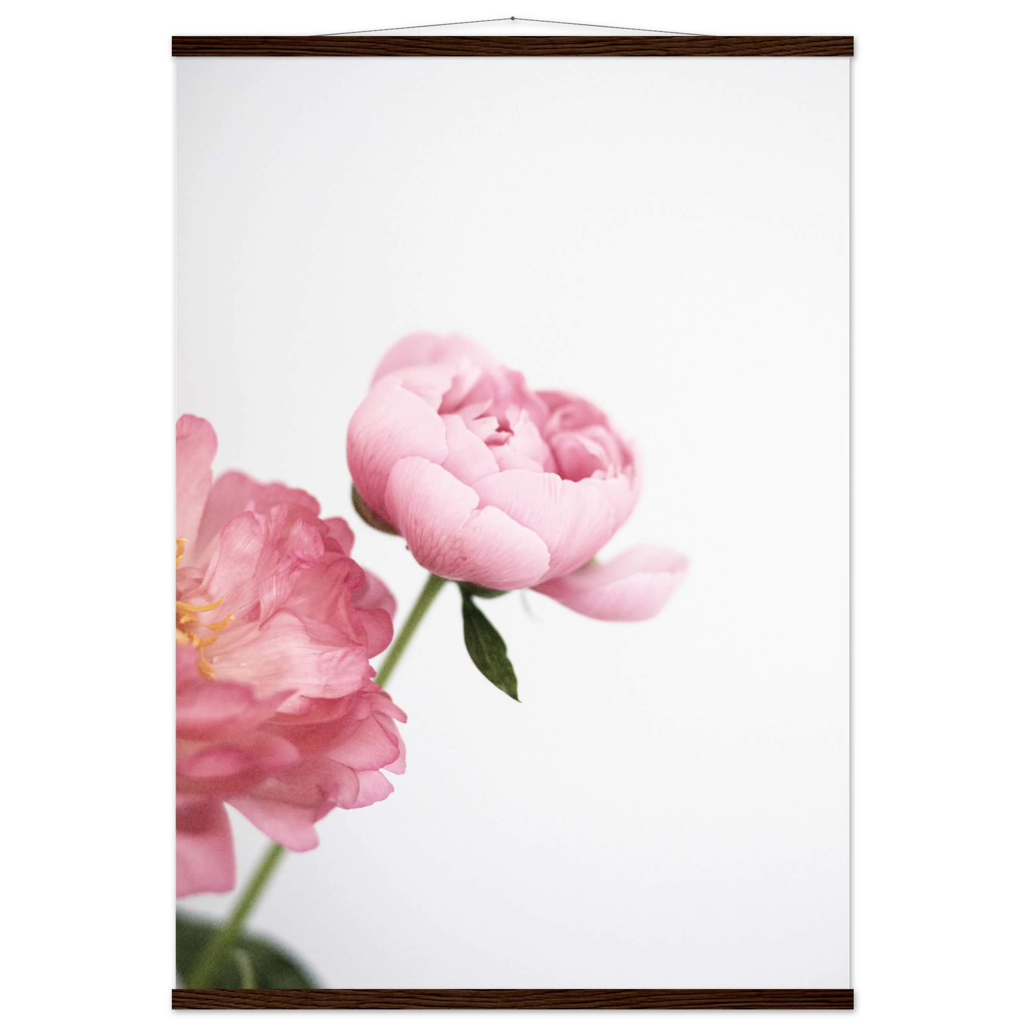 b2306f70-fcb4-46a5-8160-deaf0347e9dd