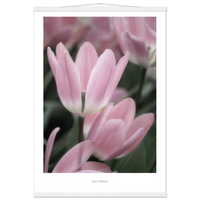 b237024d-a66f-4e75-828f-cea833f2b7f6