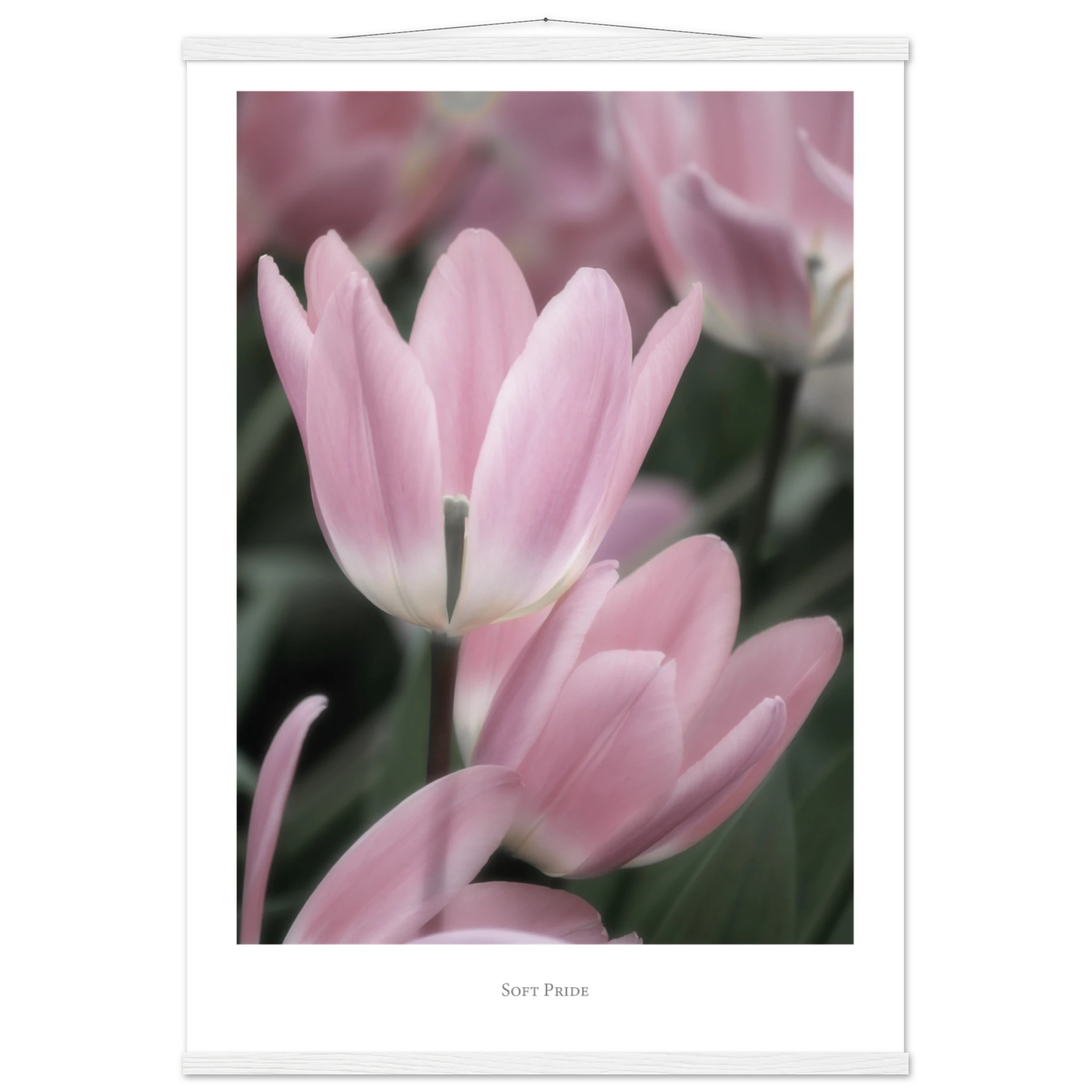 b237024d-a66f-4e75-828f-cea833f2b7f6