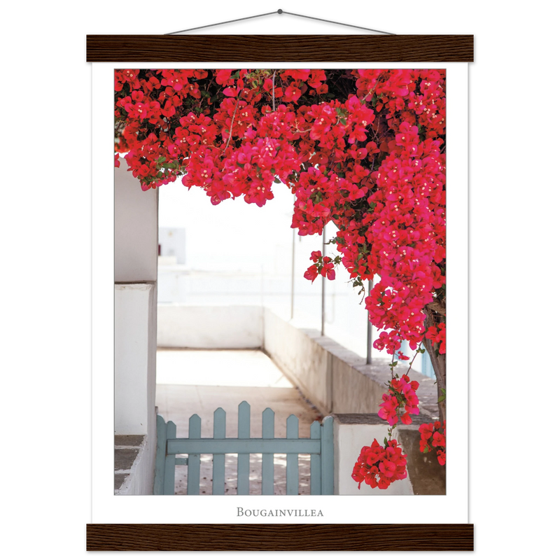 b24d4018-7535-4fd0-8041-bffad2ec6cc9