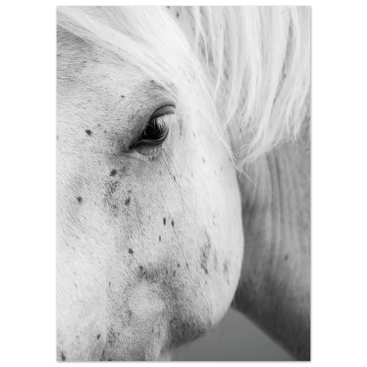 b4401648-8184-4379-9fad-d937b3933e93