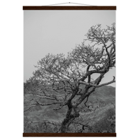 b48ba324-00a6-4140-b56d-9d8b4965f943
