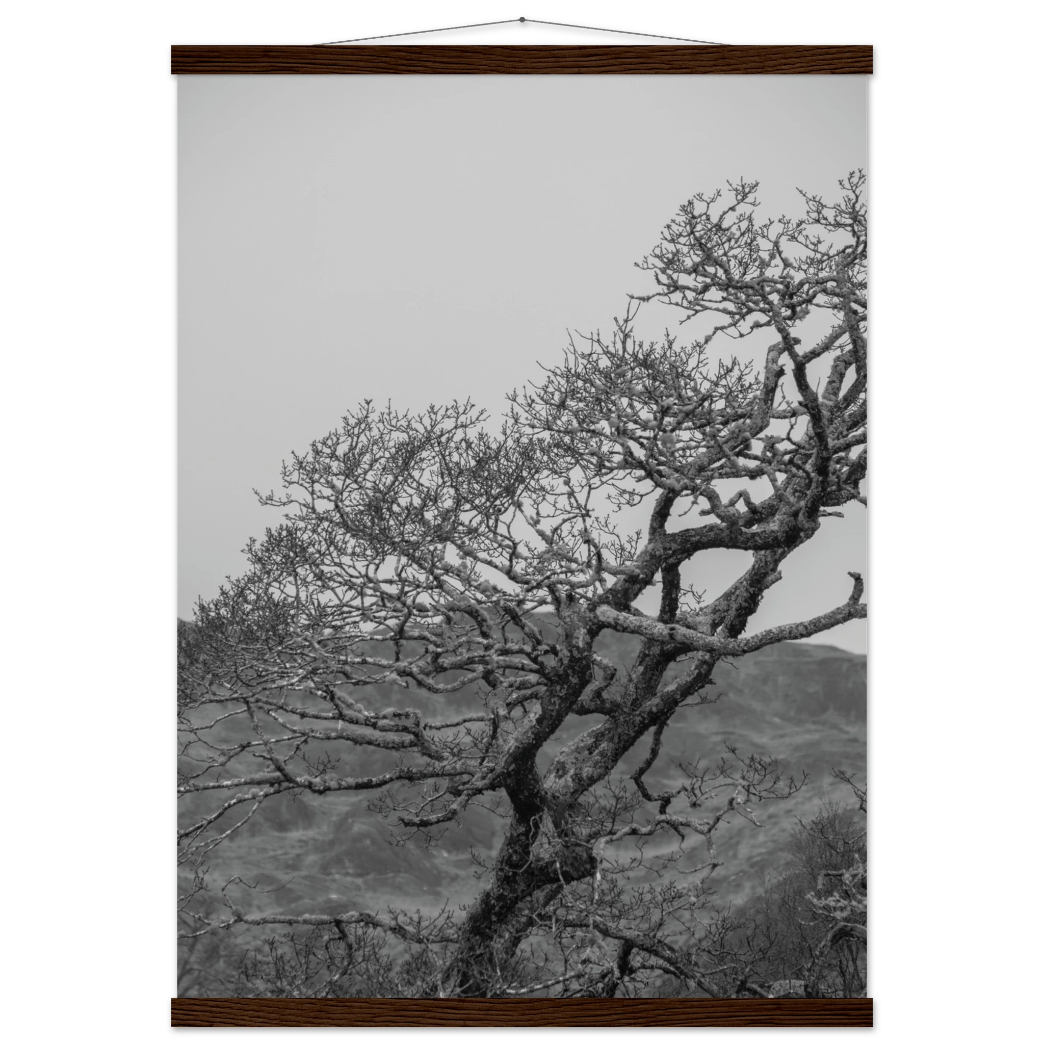 b48ba324-00a6-4140-b56d-9d8b4965f943