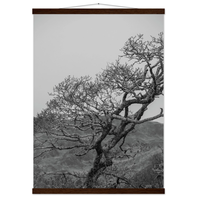 b48ba324-00a6-4140-b56d-9d8b4965f943